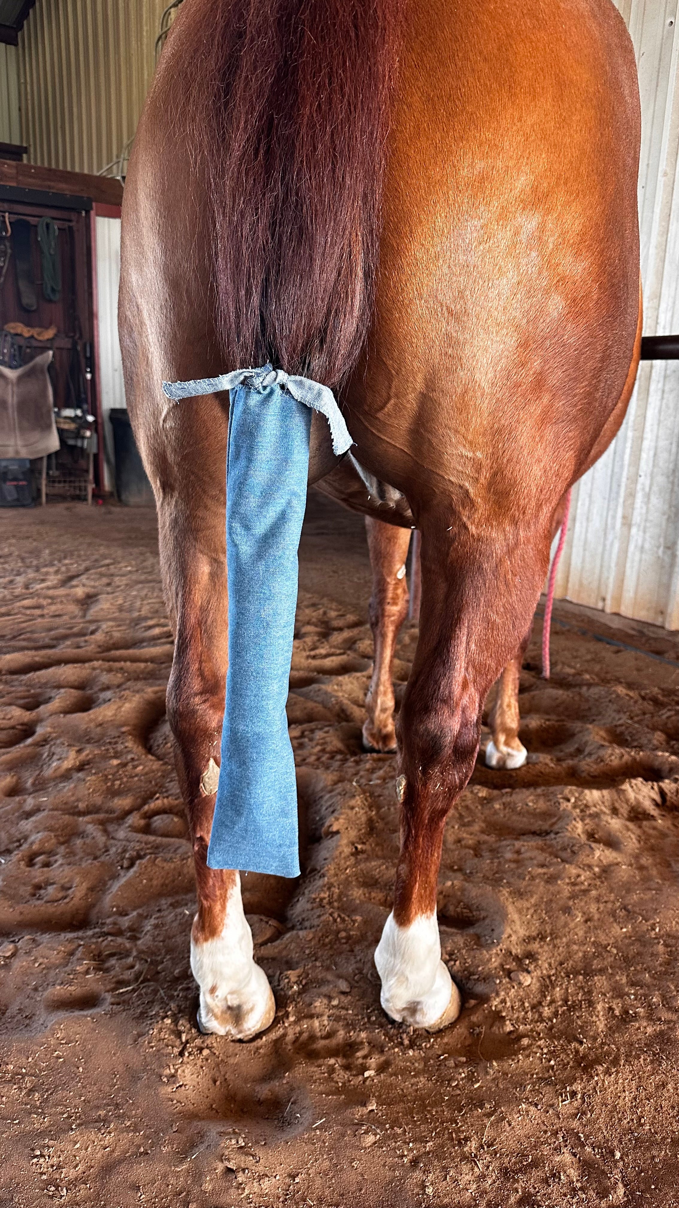 Tie Denim Tail Bag