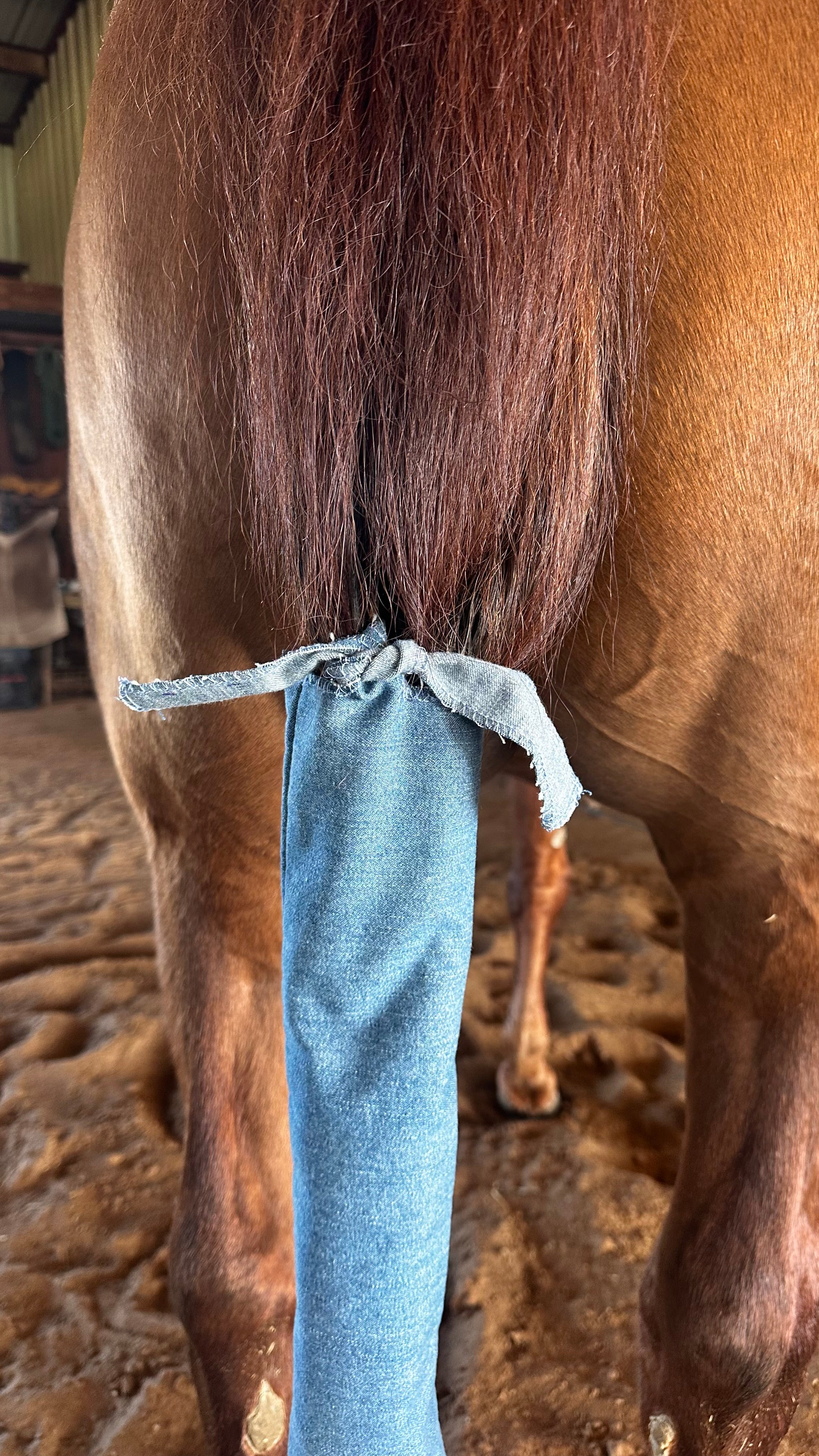 Tie Denim Tail Bag